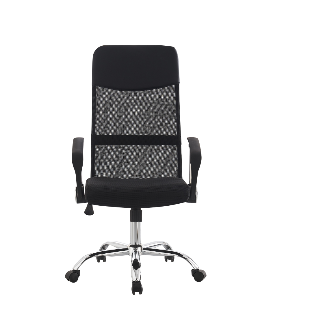Ergonomic Office Chair WB-30